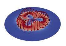 stellarator